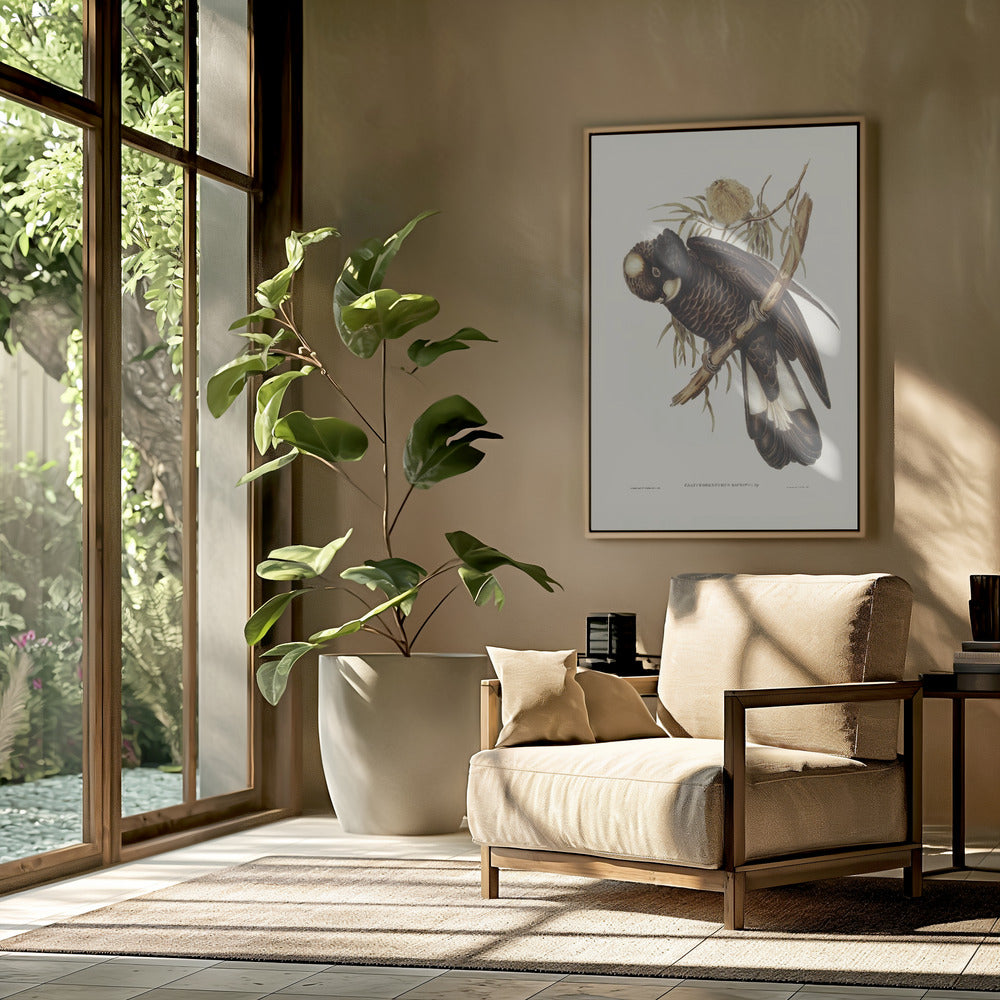 Baudin's Cockatoo Poster